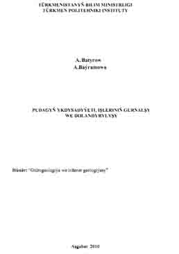 Pudagyň ykdysadyýeti, işleriniň gurnalşy we dolandyrylyşy